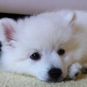 Meet your Posher, Melanie